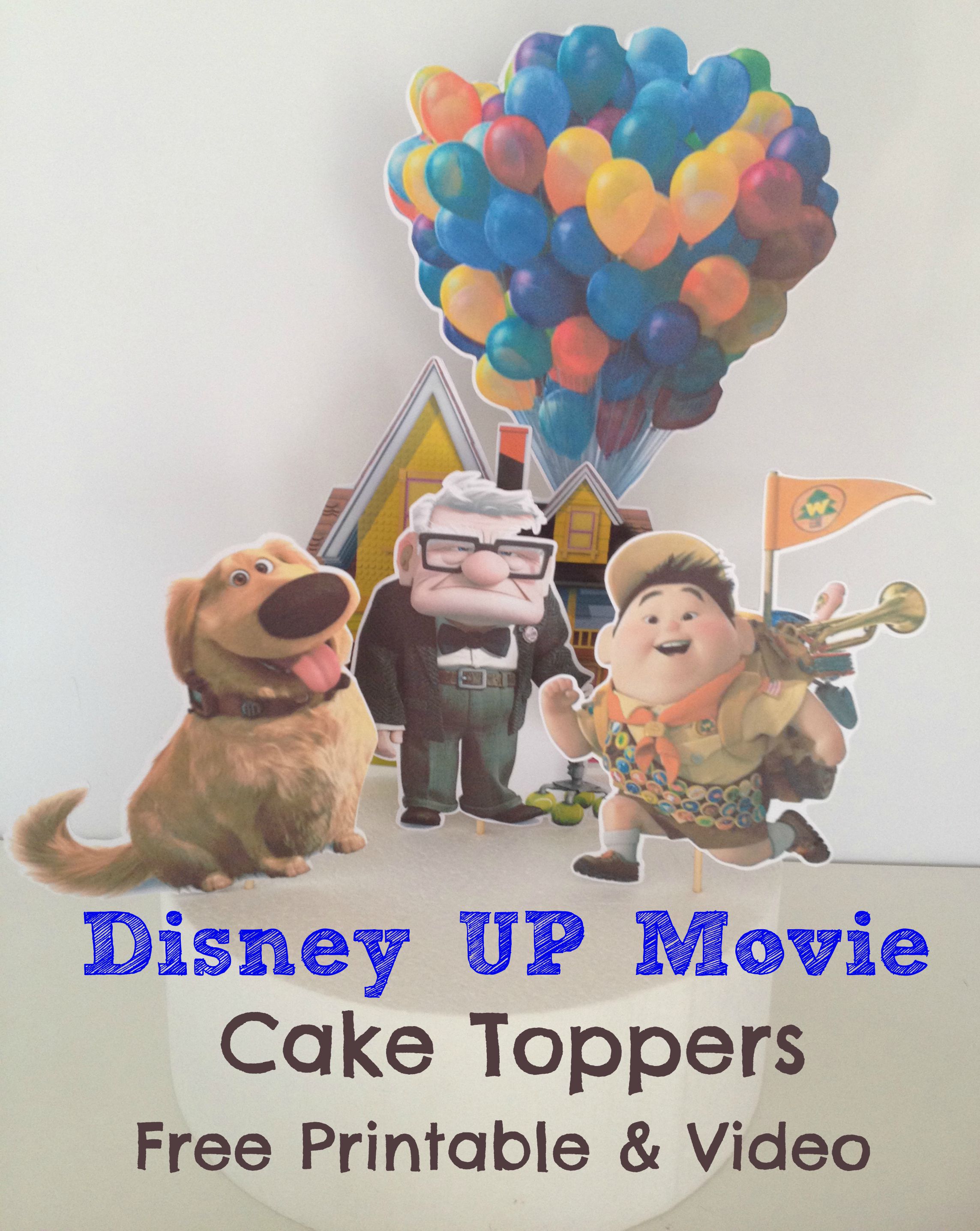 disney up vinyl