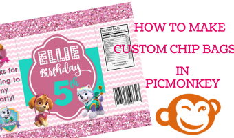 SKYE & EVEREST PAW PATROL CHIP BAG PRINTABLE | Free Template Included